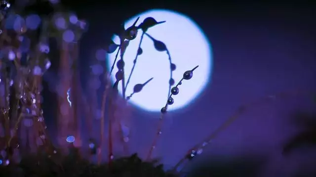 手機電筒還能這麼玩?你還能玩得更好