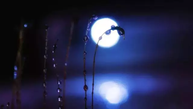 手機電筒還能這麼玩?你還能玩得更好