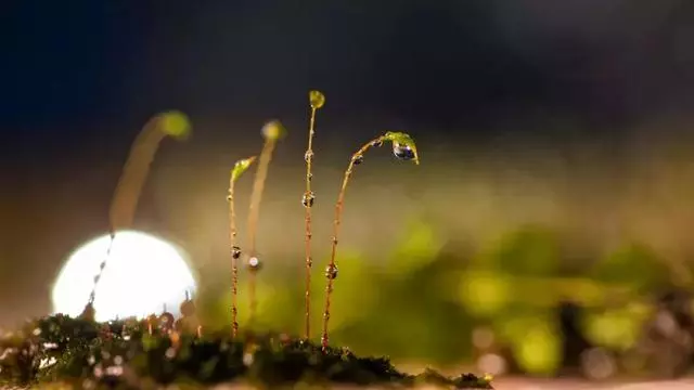 手機電筒還能這麼玩?你還能玩得更好