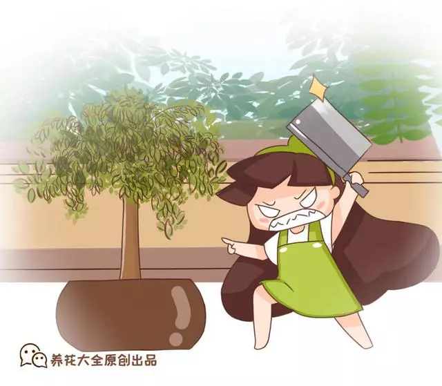 植物也開葷!世界上六大食肉植物,胃口好到能吞牛
