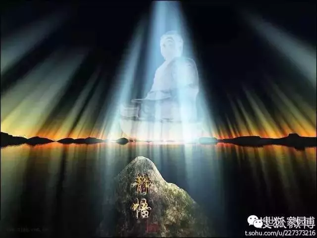 80後女孩的放生感應:不順原來都是福報不夠的原因!