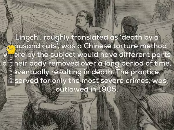 17個讓你嚇得全身都發毛的超詭異知識