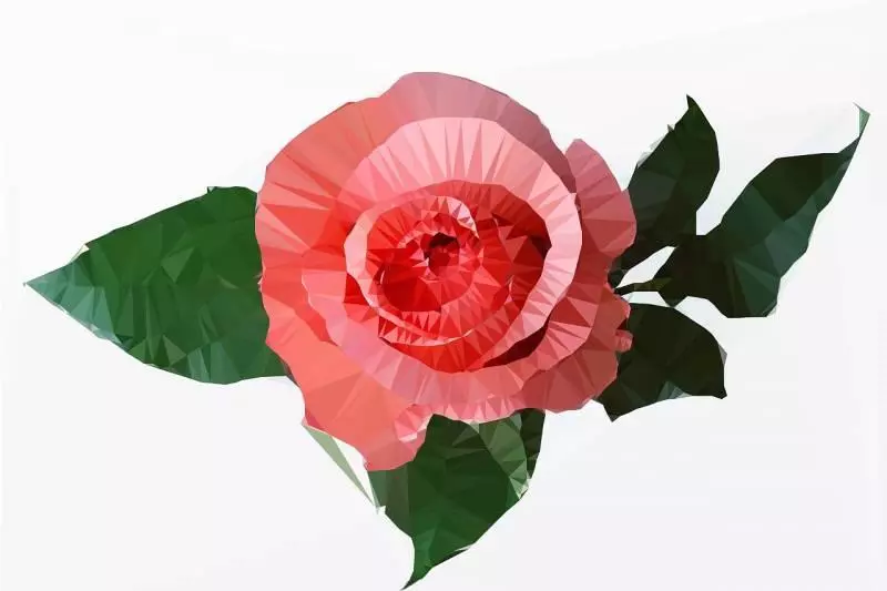 3月13號起百福臨門,大財小財匯聚,喜上眉梢的5大生肖!