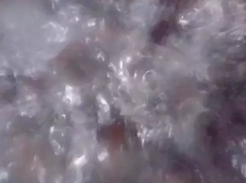 它是天然減肥王,女人隔三差五吃,腰可能變細,皮膚更水潤光滑