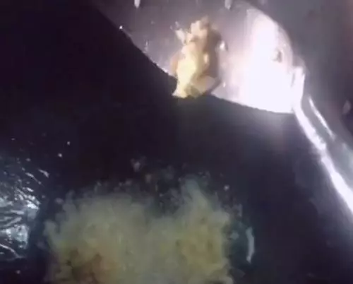 它是天然減肥王,女人隔三差五吃,腰可能變細,皮膚更水潤光滑