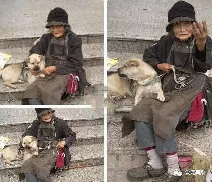 狗不嫌家貧你若不離不棄,它必生死相依!