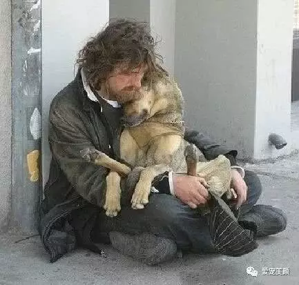 狗不嫌家貧你若不離不棄,它必生死相依!