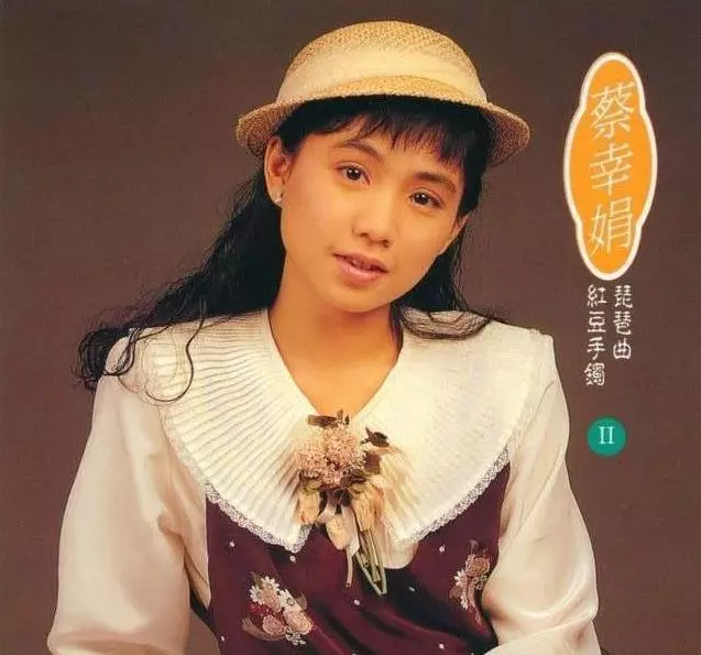 52歲蔡幸娟為了給老父償還債務,15歲出道,便當只有稀飯配醬瓜,無怨無悔!6年後近照曝光,美得不像話!