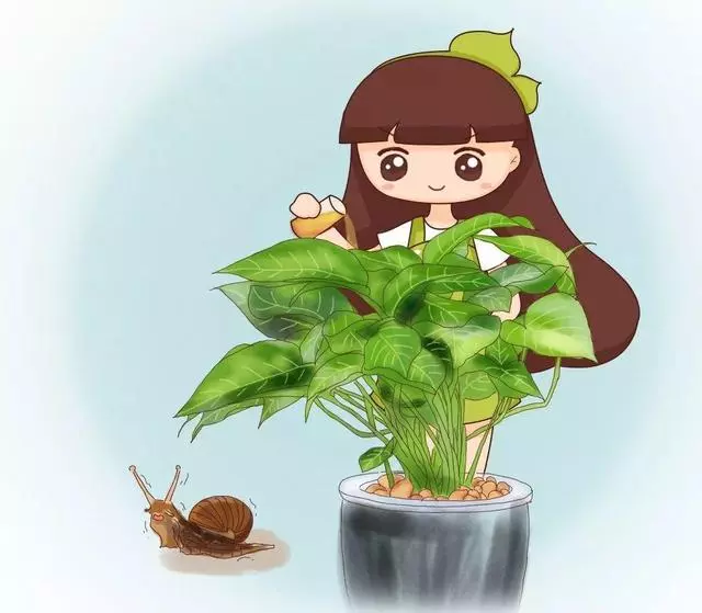 3月養花愛招蟲,提前噴點它,一年葉子綠油油!