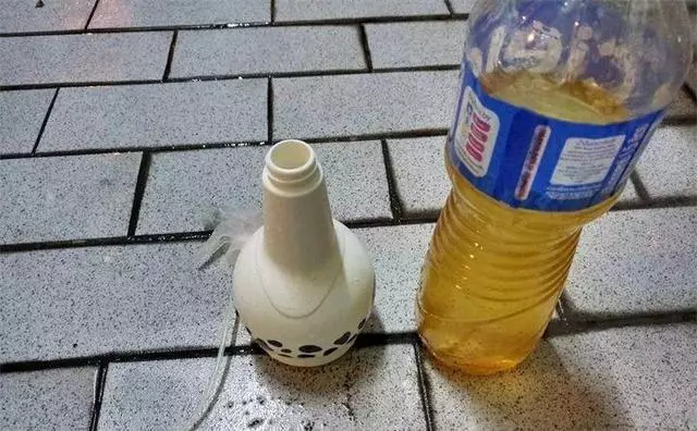 3月養花愛招蟲,提前噴點它,一年葉子綠油油!