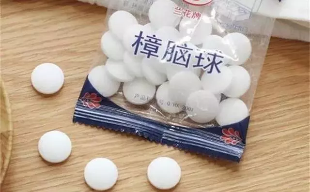 3月養花愛招蟲,提前噴點它,一年葉子綠油油!