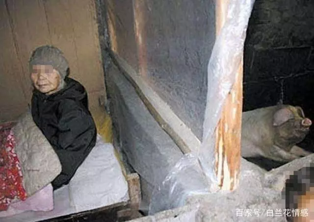 媽媽住豬圈,弟弟住別墅,春節回家,我一把火點了別墅,弟弟蒙了