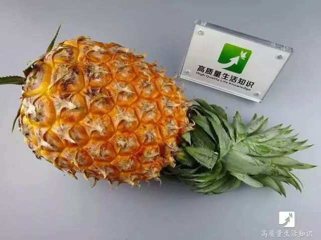 去皮小妙招:鳳梨去皮竟這麼簡單,不用一分鐘全變鳳梨塊,太實用了