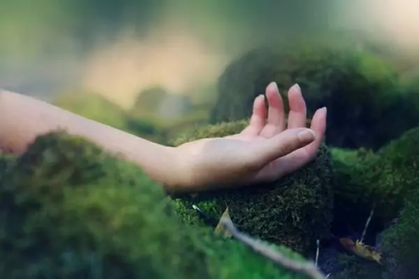 你的小指指紋暴露了你晚年的命運你50歲後會是什麼命?