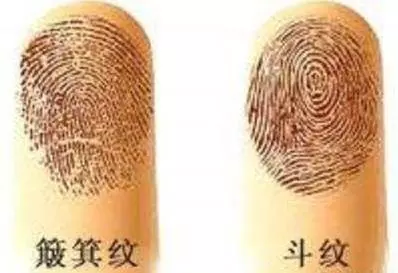 你的小指指紋暴露了你晚年的命運你50歲後會是什麼命?