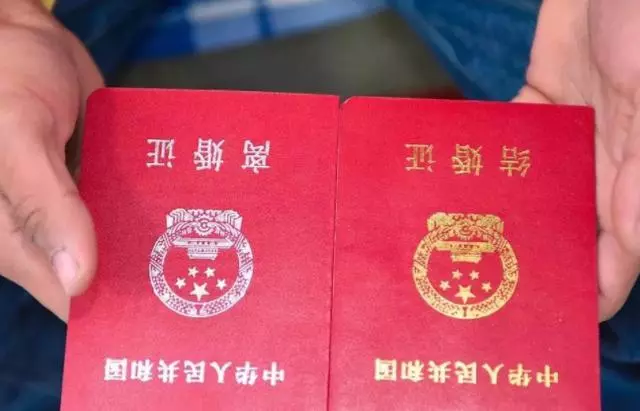 丈夫想離婚我苦苦哀求,收到婆婆發錯的一條簡訊,我立馬去民政局