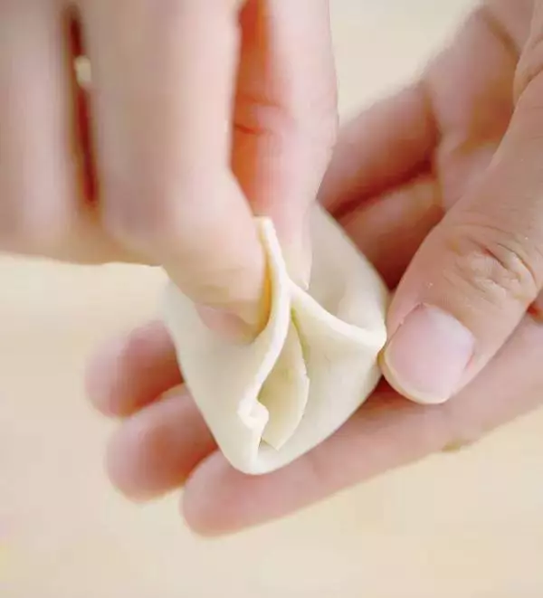 餛燉的10種經典包法,包教包會!