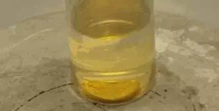 他親手把兩個諾貝爾獎金牌用王水溶掉,還豪飲過重水,最後確立放射線追蹤技術拿到諾貝爾獎