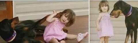 小女孩被兇猛大狗咬住丟到院子另一邊,媽媽衝過去一看,才發現欠了狗狗永遠報答不完的恩情!