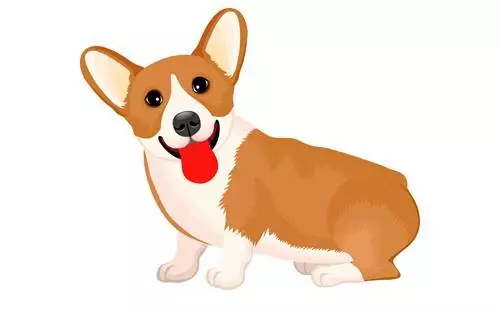 2019年,屬狗的人,必有大喜!