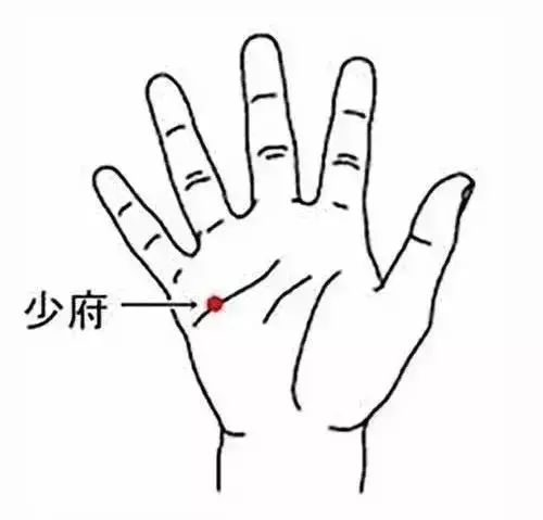 五臟六腑上火怎麼降?這個方法大家都不一定清楚!