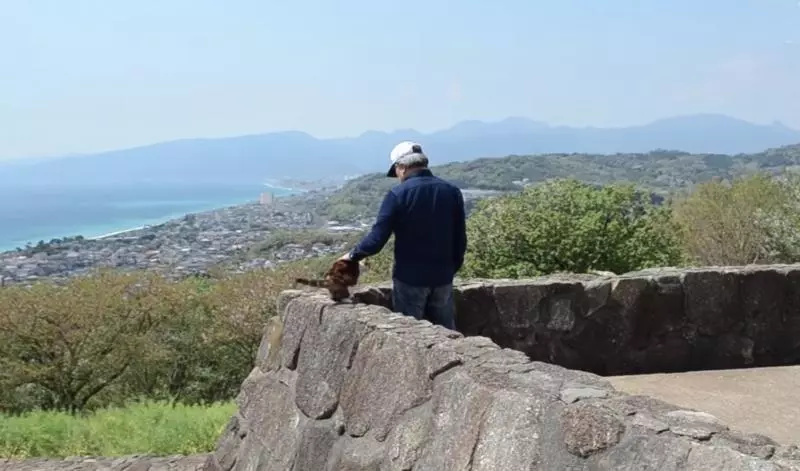 肉喵7年來一直陪主人登山,一張「淡定登頂照」讓牠成為人氣貓,紅到連拍照都要排隊!