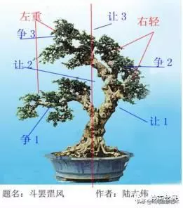 名師講堂 | 試談樁景中枝的爭讓