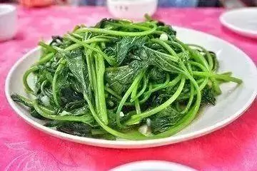春季必吃的13大黃金菜,各個營養超群,千萬別錯過!