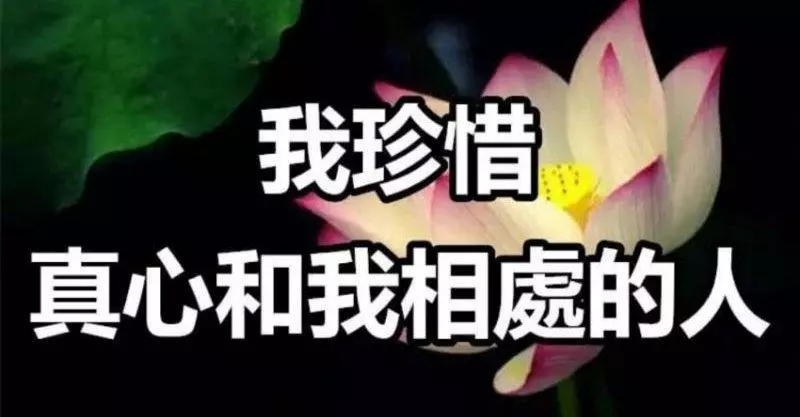 2019,我珍惜真心和我相處的人
