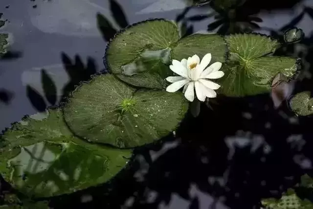 2019,我珍惜真心和我相處的人
