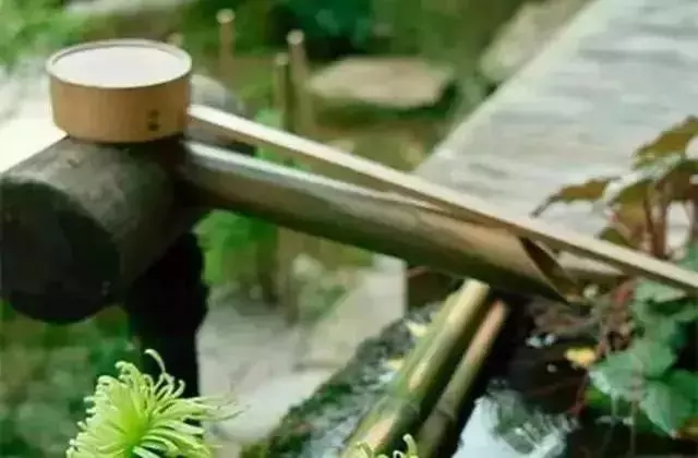 2019,我珍惜真心和我相處的人
