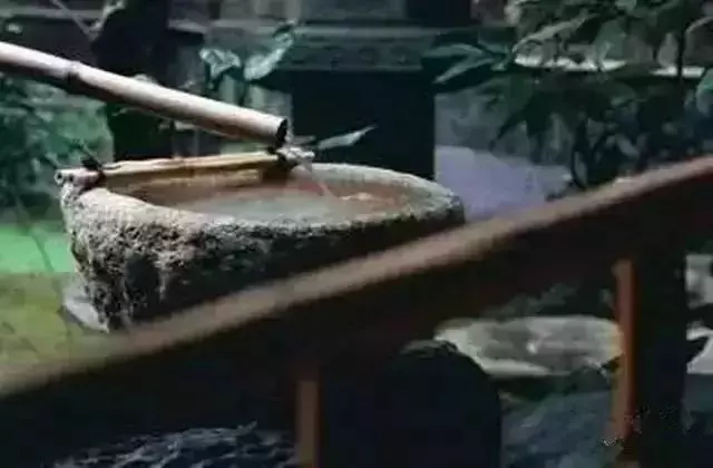 2019,我珍惜真心和我相處的人