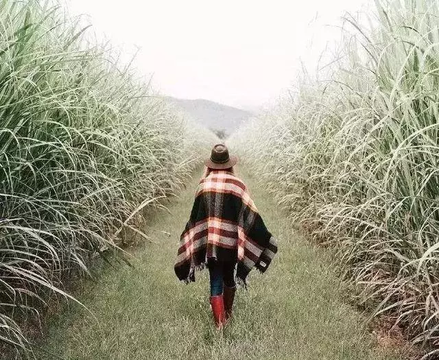堅強的女人背後都是眼淚,獨立的女人心中都有傷痕,獻給不會撒嬌外表堅強的女人