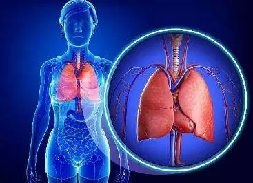 經常11點後睡覺,肝臟積太多毒排不出,小心4種大病找上你,教你5招【護好肝】!