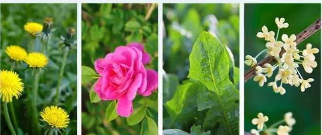 經常11點後睡覺,肝臟積太多毒排不出,小心4種大病找上你,教你5招【護好肝】!