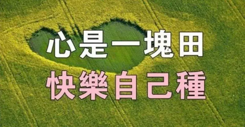 人生的一種成長,看淡,心情才好,看開,日子才美。
