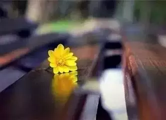 人生的一種成長,看淡,心情才好,看開,日子才美。