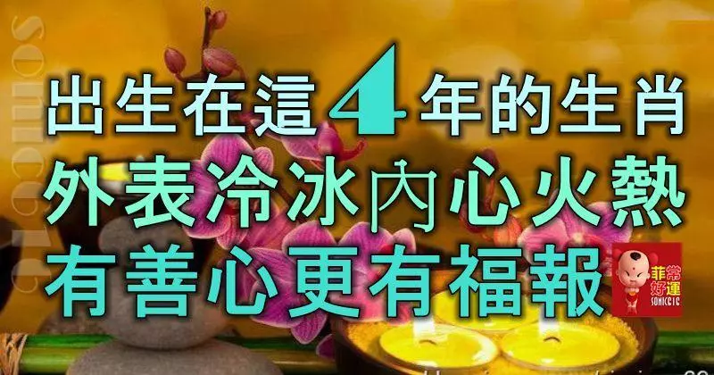 出生在這4年的生肖,外表冷冰冰,內心火熱熱,有善心更有福報!