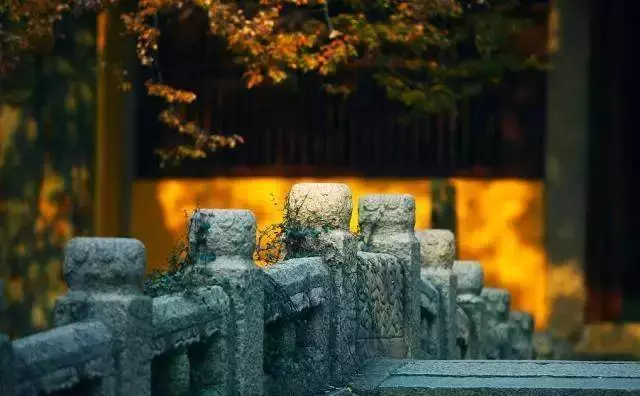 「刺蝟取暖」的相處哲學,關系再好,也要保持距離