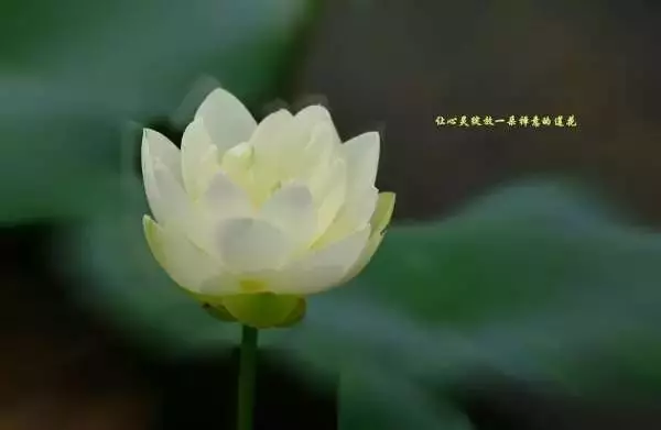 人氣決定財氣,會做人才會聚財