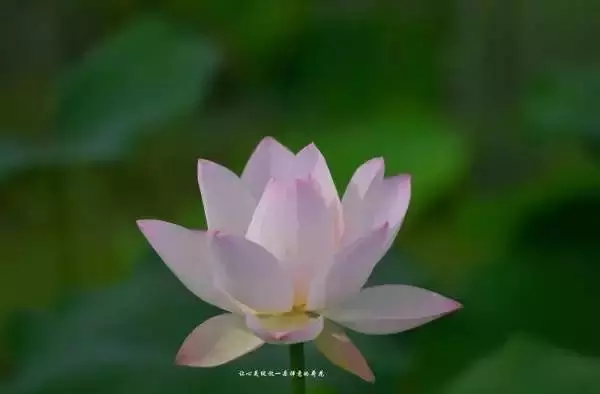 人氣決定財氣,會做人才會聚財