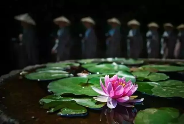 人氣決定財氣,會做人才會聚財