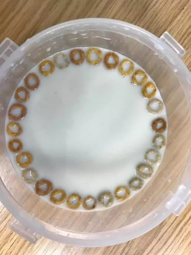 強迫症患者爽翻天~ 25張「看完會通體舒暢」的完美照片