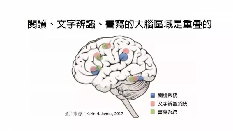 科學研究證實:學寫字有助於孩子的閱讀力發展!