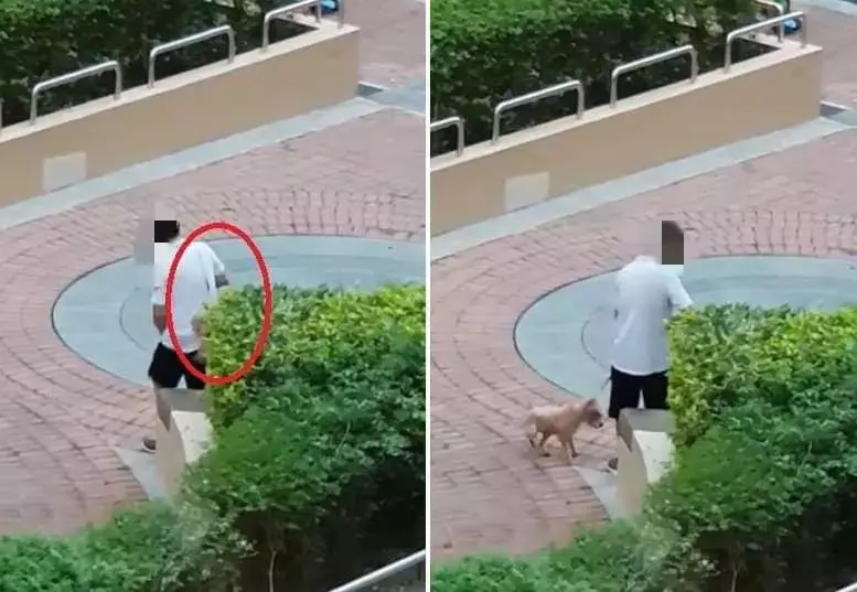 男子虐狗視頻曝光 遭網友人肉舉報