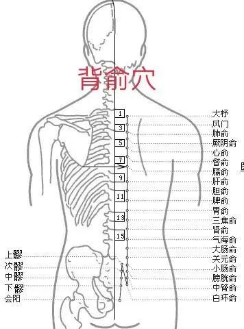 藉助工具拍打膀胱經,拍兩天,消除疲勞,身心輕鬆,小心上癮