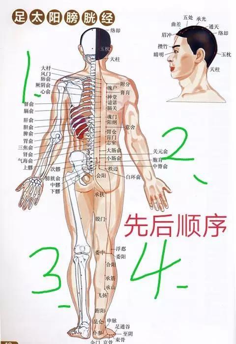 藉助工具拍打膀胱經,拍兩天,消除疲勞,身心輕鬆,小心上癮