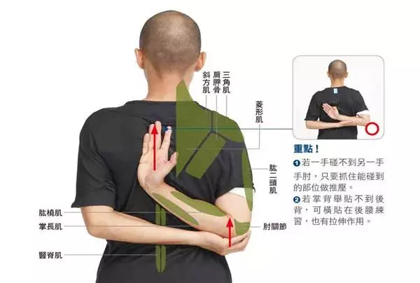 痠痛、五十肩、肩頸僵硬常上身?學會3伸展操改善!