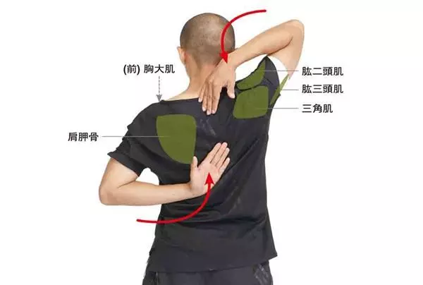 痠痛、五十肩、肩頸僵硬常上身?學會3伸展操改善!