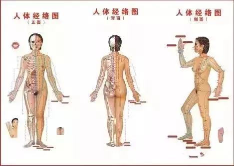 經絡不通,補啥都沒用!14條經絡阻塞後的表現?你一定要知道!